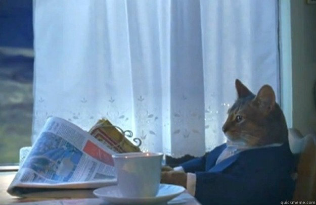   Sophisticated Cat