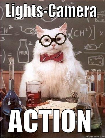 LIGHTS-CAMERA ACTION Chemistry Cat