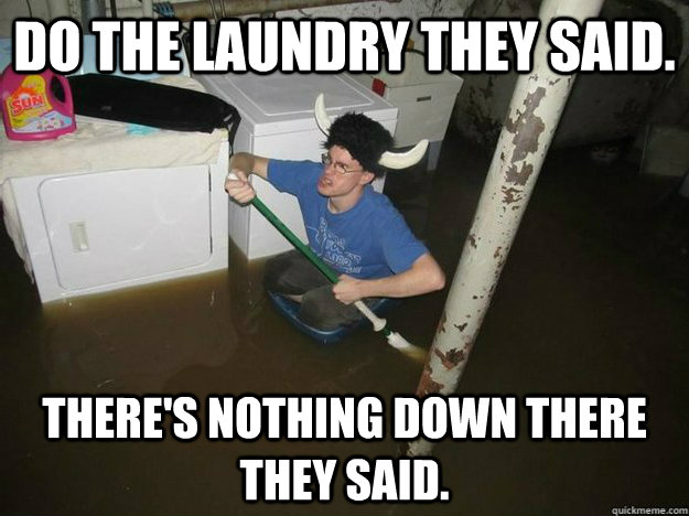 Do the laundry they said.  There's nothing down there they said.  Fixd The Laundry They Said