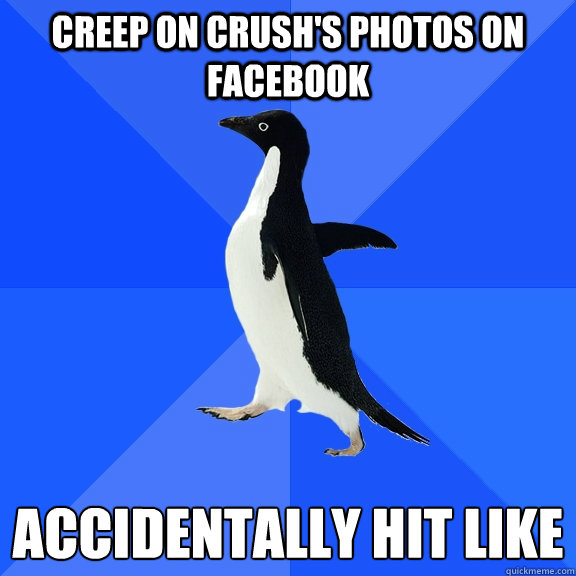 creep on crush's photos on facebook accidentally hit like  Socially Awkward Penguin
