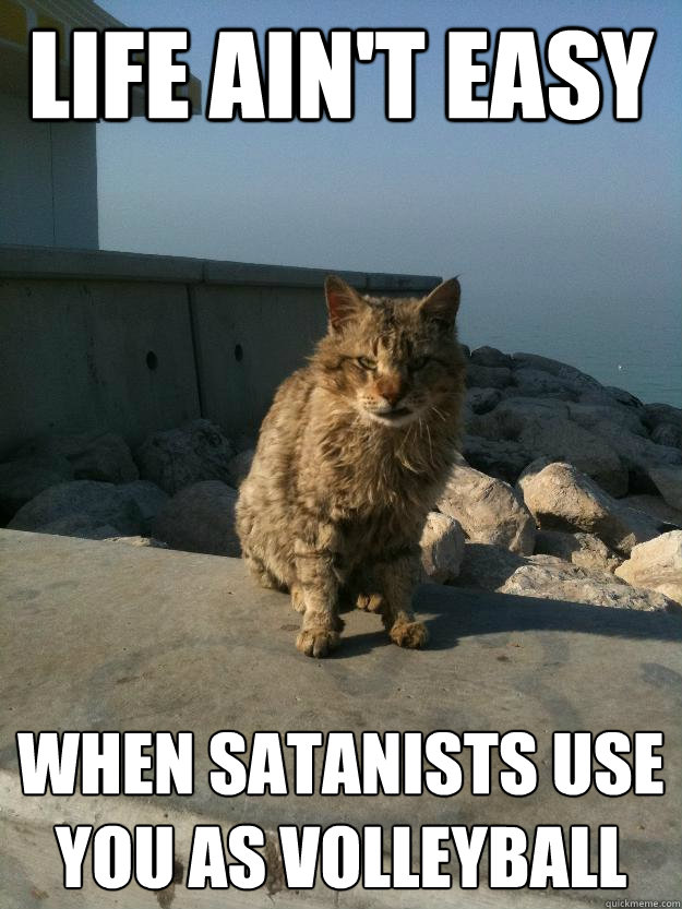 life ain't easy when satanists use you as volleyball  Bitter Cat