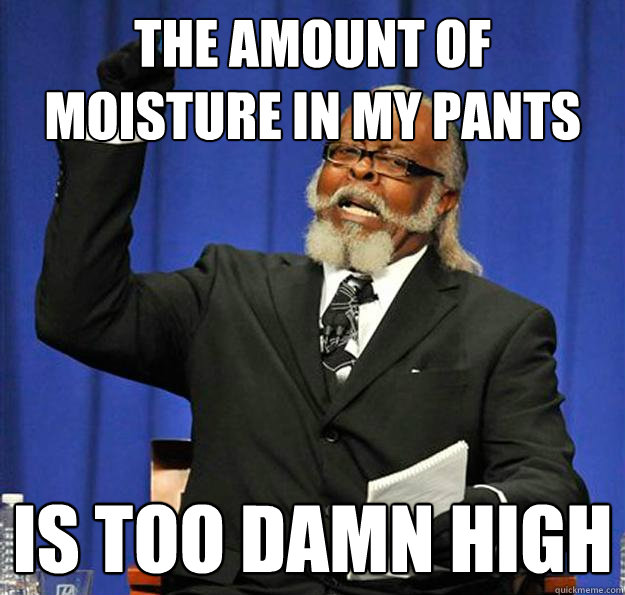 the amount of moisture in my pants is too damn high  Jimmy McMillan