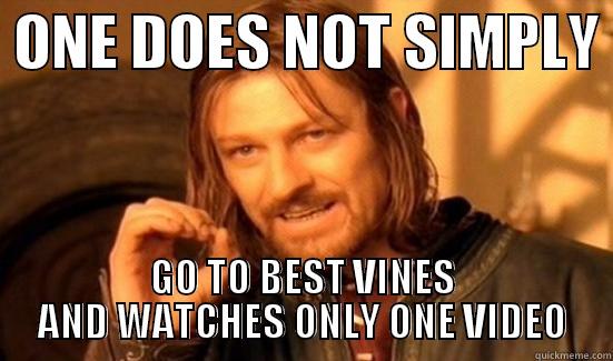  ONE DOES NOT SIMPLY  GO TO BEST VINES AND WATCHES ONLY ONE VIDEO Boromir