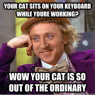 Your cat sits on your keyboard while youre working? Wow your cat is so out of the ordinary  Creepy Wonka