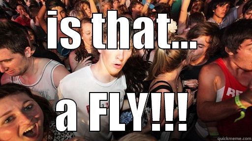 IS THAT... A FLY!!! Sudden Clarity Clarence