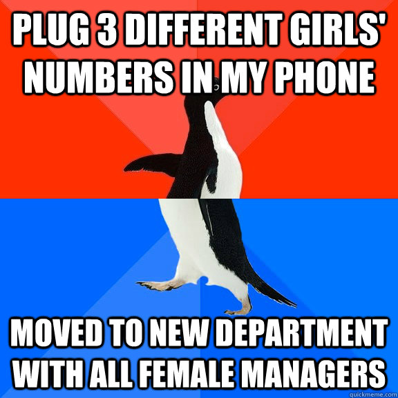 Plug 3 different girls' numbers in my phone Moved to new department with all female managers  Socially Awesome Awkward Penguin