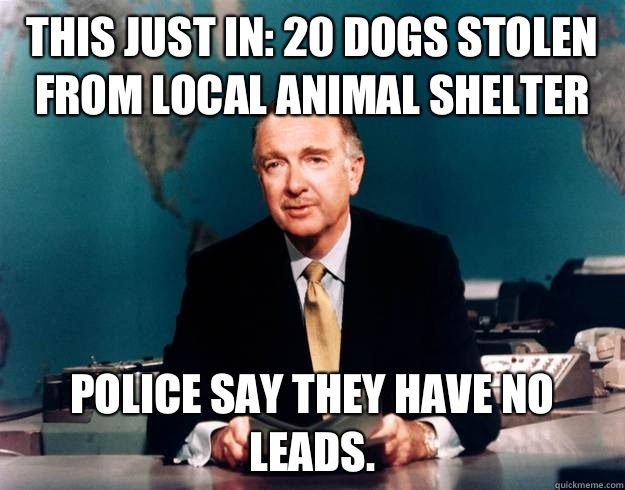 this just in: 20 dogs stolen from local animal shelter Police say they have no leads. - this just in: 20 dogs stolen from local animal shelter Police say they have no leads.  Pun Network News