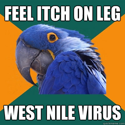 feel itch on leg West NIle virus  Paranoid Parrot