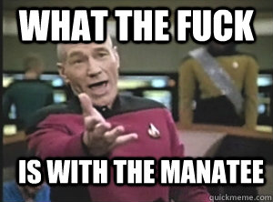 What the fuck Is with the manatee  Annoyed Picard