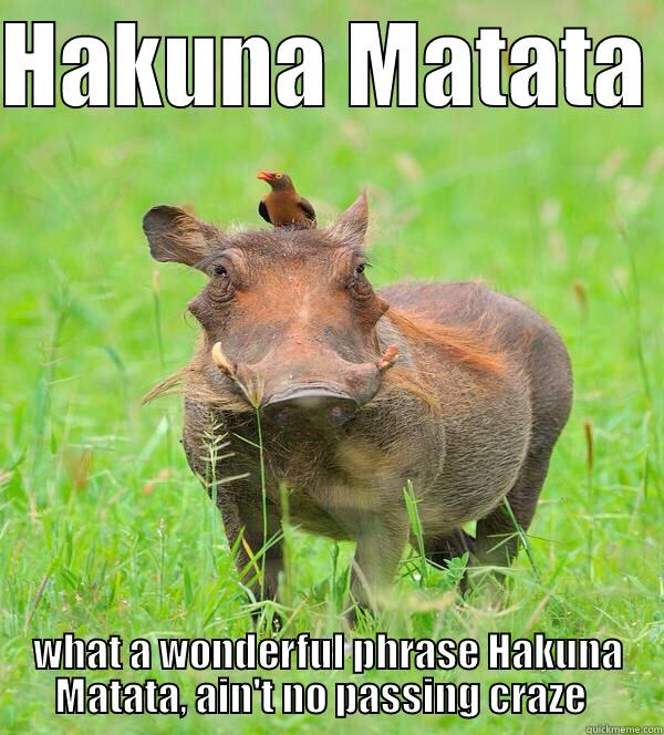 HAKUNA MATATA  WHAT A WONDERFUL PHRASE HAKUNA MATATA, AIN'T NO PASSING CRAZE   Misc