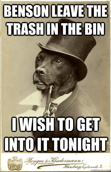 benson leave the trash in the bin i wish to get into it tonight  Old Money Dog