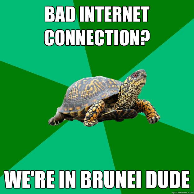 bad internet connection? we're in brunei dude  Torrenting Turtle
