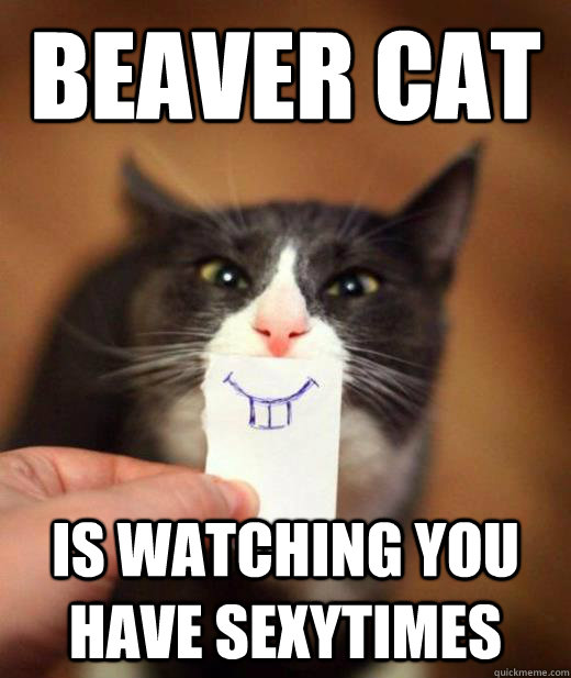 beaver cat is watching you have sexytimes - beaver cat is watching you have sexytimes  Beaver Cat