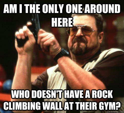 Am i the only one around here who doesn't have a rock climbing wall at their gym?  Am I The Only One Around Here