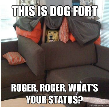 This is dog fort roger, roger, what's your status?  