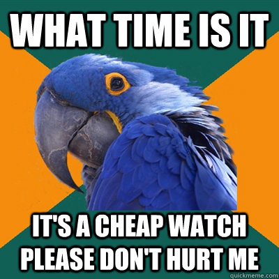 what time is it it's a cheap watch please don't hurt me   Paranoid Parrot