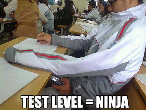 Test Level: Ninja  -   Misc