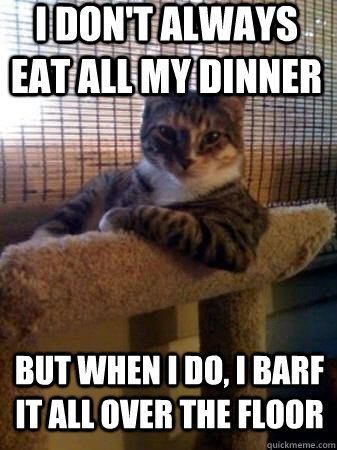 I don't always eat all my dinner but when I do, I barf it all over the floor  The Most Interesting Cat in the World