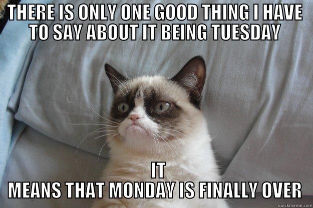 TUESDAY IS NOT MONDAY - THERE IS ONLY ONE GOOD THING I HAVE TO SAY ABOUT IT BEING TUESDAY   IT MEANS THAT MONDAY IS FINALLY OVER Grumpy Cat