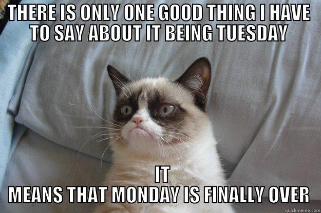 THERE IS ONLY ONE GOOD THING I HAVE TO SAY ABOUT IT BEING TUESDAY   IT MEANS THAT MONDAY IS FINALLY OVER Grumpy Cat