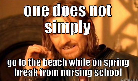 ONE DOES NOT SIMPLY GO TO THE BEACH WHILE ON SPRING BREAK FROM NURSING SCHOOL Boromir