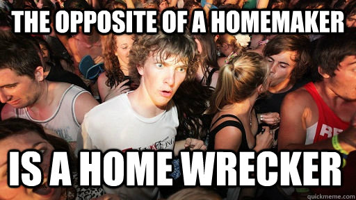 The opposite of a homemaker Is a Home wrecker  Sudden Clarity Clarence