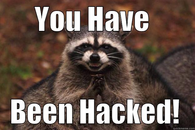 hacked by who - YOU HAVE BEEN HACKED! Evil Plotting Raccoon