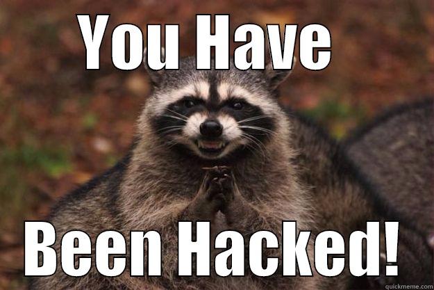 YOU HAVE  BEEN HACKED! Evil Plotting Raccoon