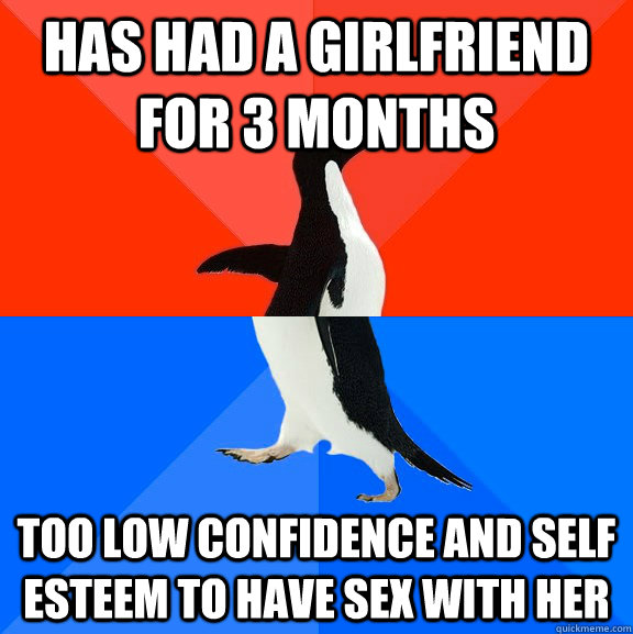 Has had a girlfriend for 3 months too low confidence and self esteem to have sex with her  Socially Awesome Awkward Penguin