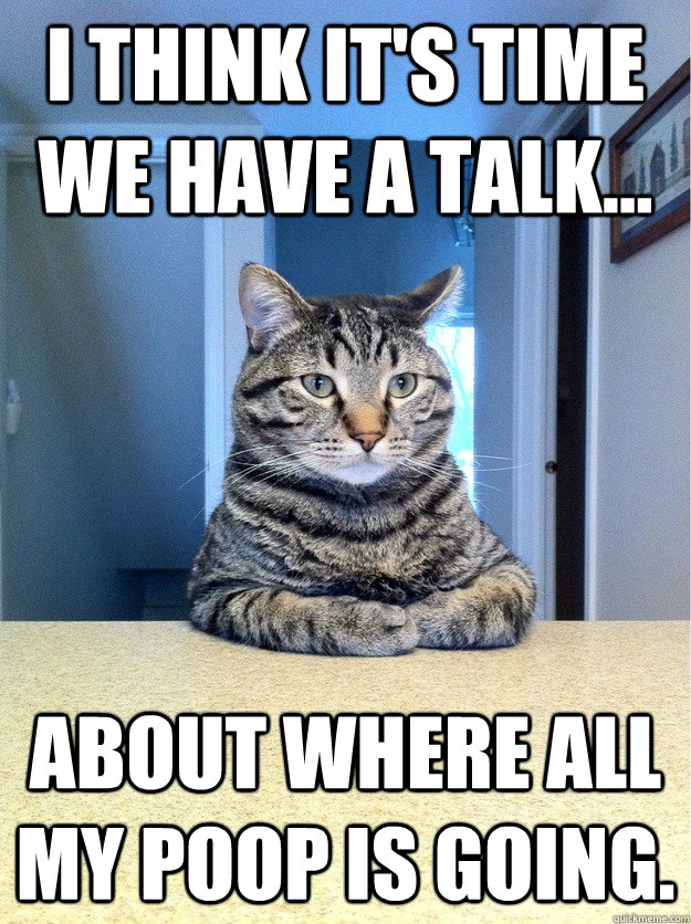 I think it's time we have a talk... About where all my poop is going. - I think it's time we have a talk... About where all my poop is going.  Chris Hansen Cat