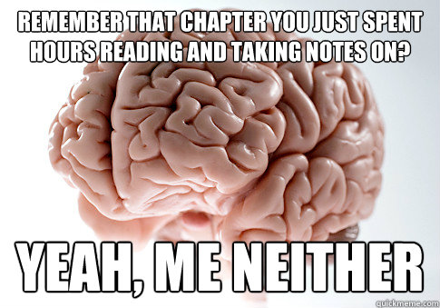 Remember that chapter you just spent hours reading and taking notes on? Yeah, me neither  Scumbag Brain