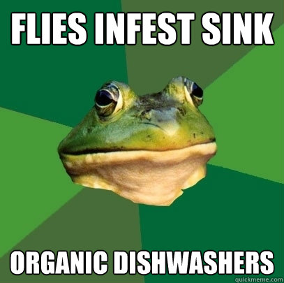 Flies infest sink organic dishwashers - Flies infest sink organic dishwashers  Spring FBF
