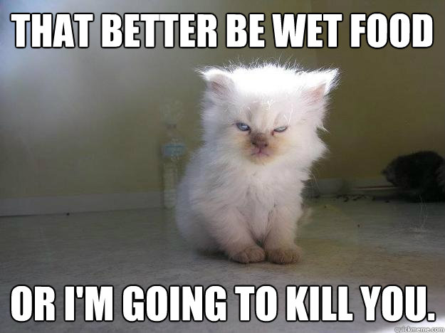 That better be wet food Or I'm going to kill you.  
