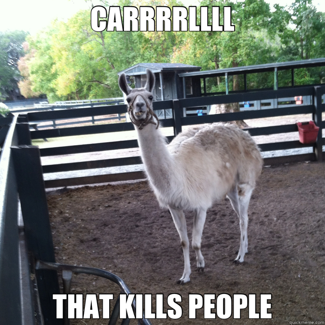 CARRRRLLLL THAT KILLS PEOPLE  