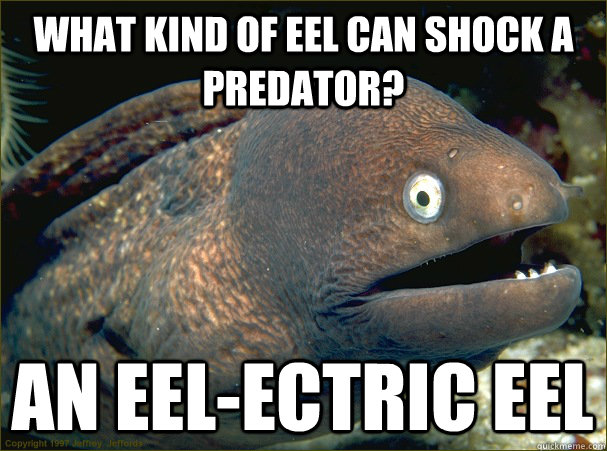 What kind of eel can shock a predator? An Eel-ectric Eel  Bad Joke Eel