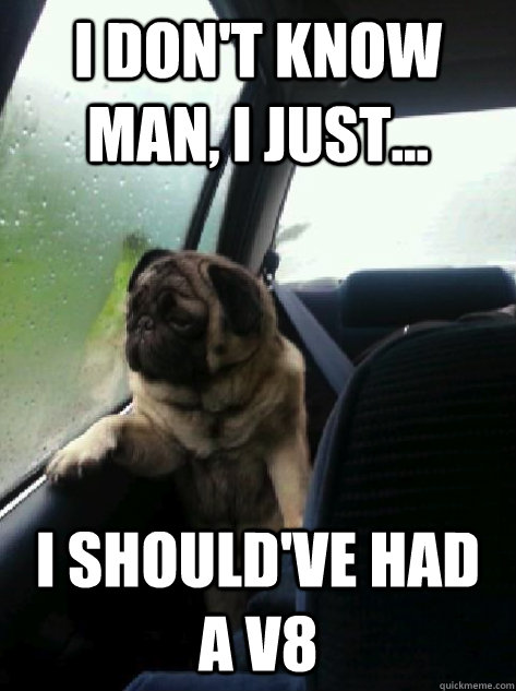 I don't know man, I just... I should've had a V8  Introspective Pug