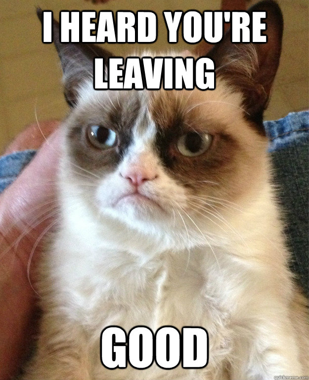 I HEARD YOU'RE LEAVING GOOD  Angry Cat