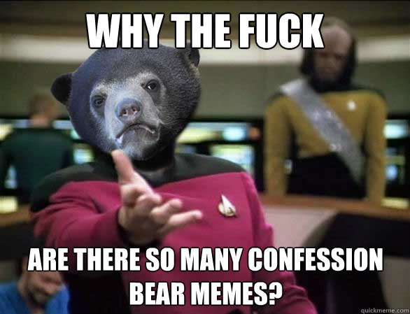 Why the fuck Are there so many confession bear memes?  