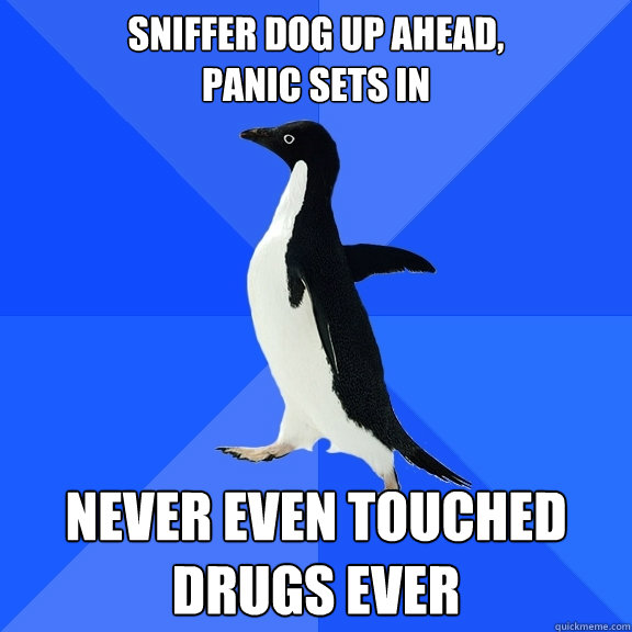 sniffer dog up ahead,
panic sets in never even touched drugs ever  Socially Awkward Penguin