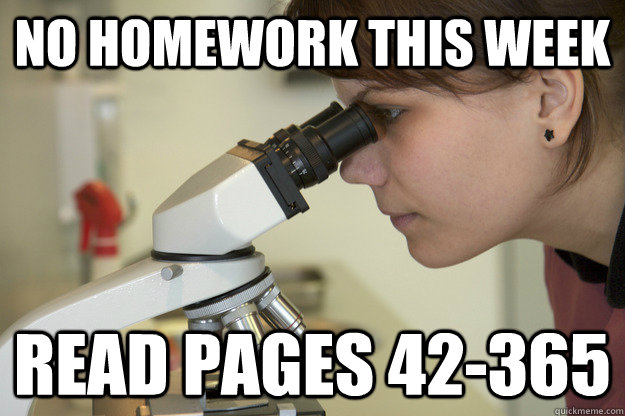 no homework this week read pages 42-365   