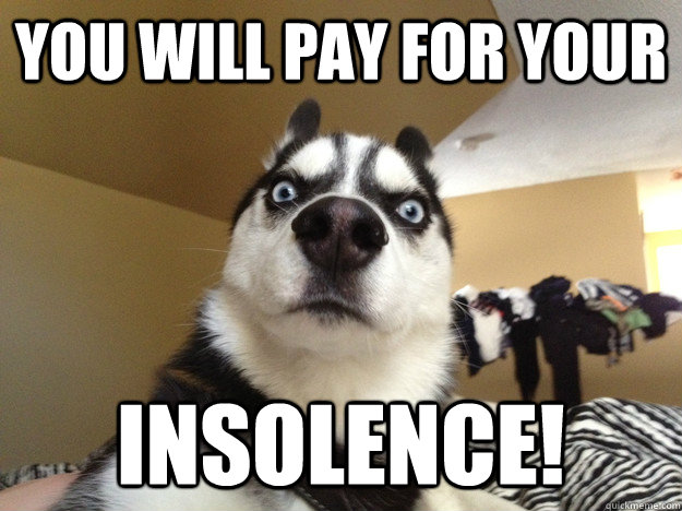 You will pay for your insolence! - You will pay for your insolence!  Misc