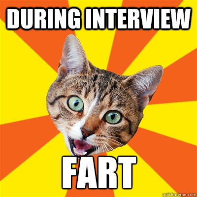 During interview fart  Bad Advice Cat