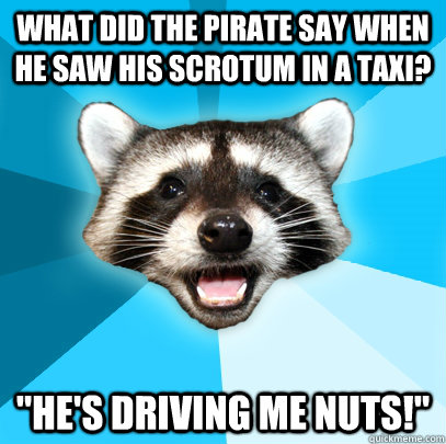 WHAT DID THE PIRATE SAY WHEN HE SAW HIS SCROTUM IN A TAXI? 