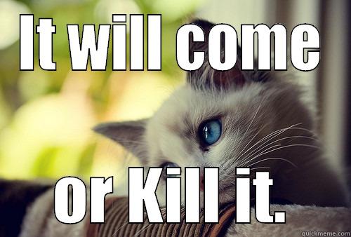 IT WILL COME OR KILL IT. First World Problems Cat