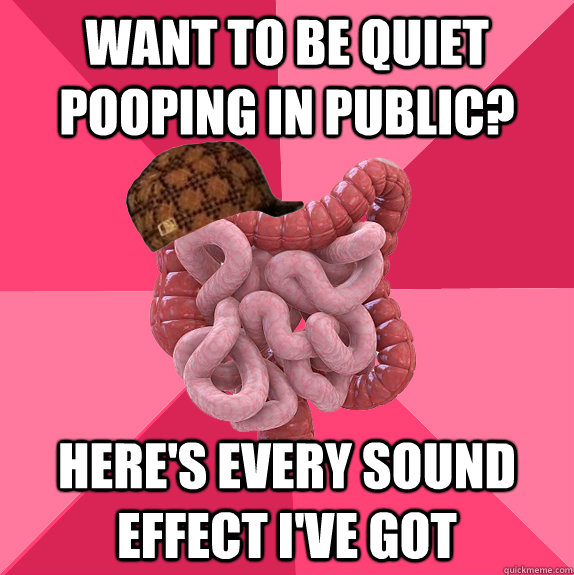 Want to be quiet pooping in public? Here's every sound effect I've got  Scumbag Intestines