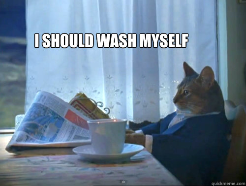  I should wash myself  The One Percent Cat