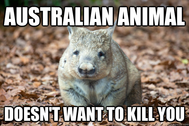 australian animal doesn't want to kill you - australian animal doesn't want to kill you  Misc