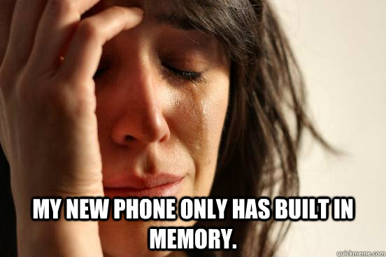  My new phone only has built in memory.   First World Problems