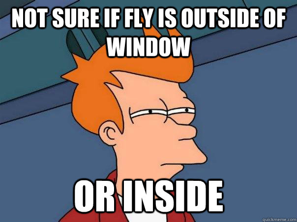 Not sure if fly is outside of window Or inside  Futurama Fry