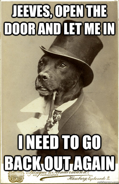 Jeeves, open the door and let me in I need to go back out again - Jeeves, open the door and let me in I need to go back out again  Old Money Dog